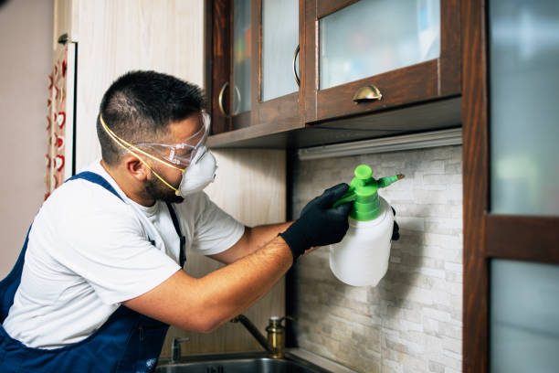 Best Bed Bug Extermination  in Hart, TX