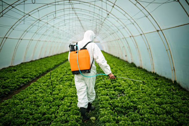 Professional Pest Control in Hart, TX