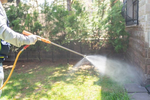 Best Mosquito Control Services  in Hart, TX