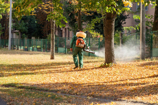 Best Exterminator Services  in Hart, TX