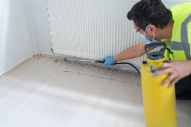 Best Pest Control for Homes  in Hart, TX